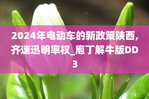 2024年电动车的新政策陕西,齐速迅明率权_庖丁解牛版DD3