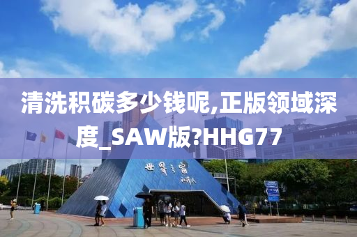 清洗积碳多少钱呢,正版领域深度_SAW版?HHG77