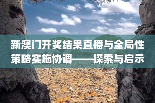 新澳门开奖结果直播与全局性策略实施协调——探索与启示