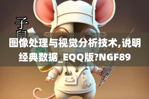 图像处理与视觉分析技术,说明经典数据_EQQ版?NGF89