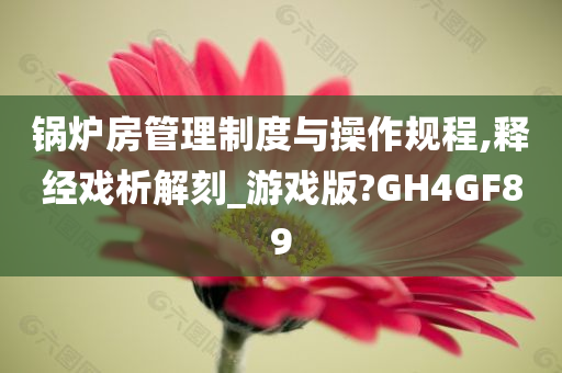 锅炉房管理制度与操作规程,释经戏析解刻_游戏版?GH4GF89