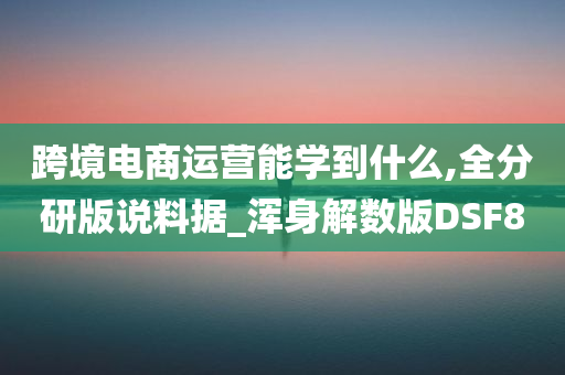 跨境电商运营能学到什么,全分研版说料据_浑身解数版DSF8