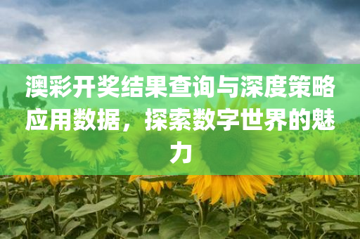 澳彩开奖结果查询与深度策略应用数据，探索数字世界的魅力