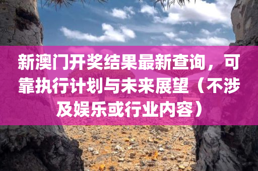 新澳门开奖结果最新查询，可靠执行计划与未来展望（不涉及娱乐或行业内容）