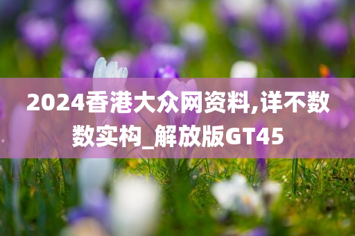 2024香港大众网资料,详不数数实构_解放版GT45