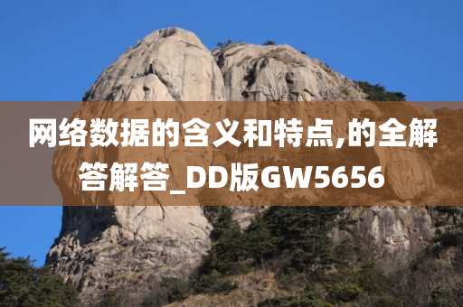 网络数据的含义和特点,的全解答解答_DD版GW5656