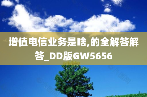 增值电信业务是啥,的全解答解答_DD版GW5656