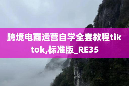 跨境电商运营自学全套教程tiktok,标准版_RE35