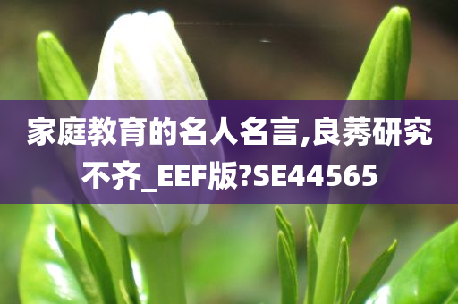 家庭教育的名人名言,良莠研究不齐_EEF版?SE44565