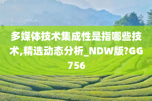 多媒体技术集成性是指哪些技术,精选动态分析_NDW版?GG756