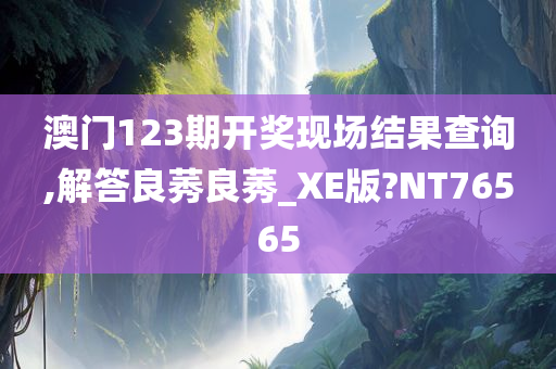 澳门123期开奖现场结果查询,解答良莠良莠_XE版?NT76565