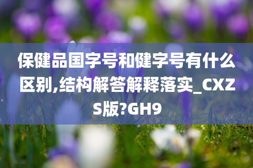 保健品国字号和健字号有什么区别,结构解答解释落实_CXZS版?GH9