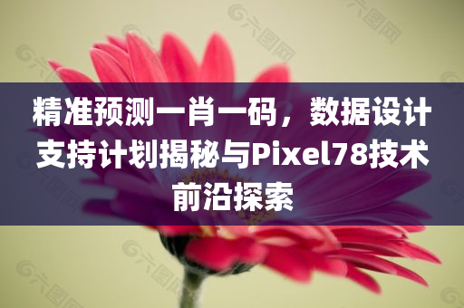 精准预测一肖一码，数据设计支持计划揭秘与Pixel78技术前沿探索