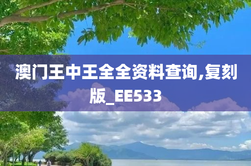 澳门王中王全全资料查询,复刻版_EE533