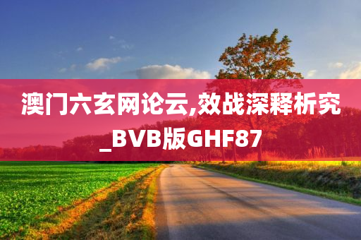 澳门六玄网论云,效战深释析究_BVB版GHF87