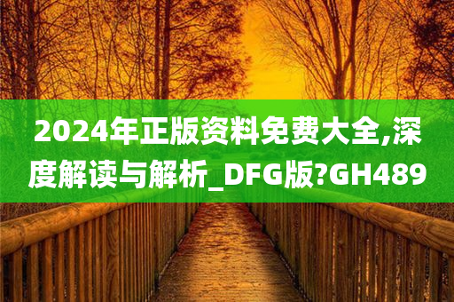 2024年正版资料免费大全,深度解读与解析_DFG版?GH489