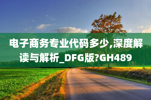 电子商务专业代码多少,深度解读与解析_DFG版?GH489