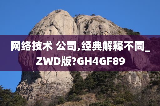 网络技术 公司,经典解释不同_ZWD版?GH4GF89