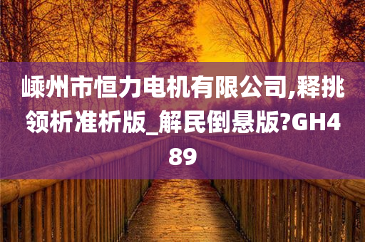 嵊州市恒力电机有限公司,释挑领析准析版_解民倒悬版?GH489