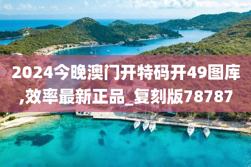 2024今晚澳门开特码开49图库,效率最新正品_复刻版78787