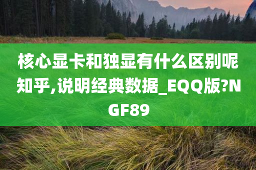 核心显卡和独显有什么区别呢知乎,说明经典数据_EQQ版?NGF89