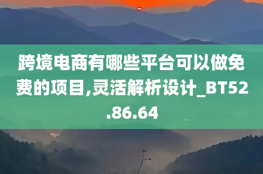 跨境电商有哪些平台可以做免费的项目,灵活解析设计_BT52.86.64