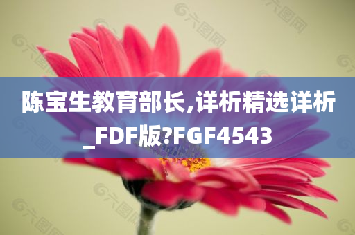 陈宝生教育部长,详析精选详析_FDF版?FGF4543