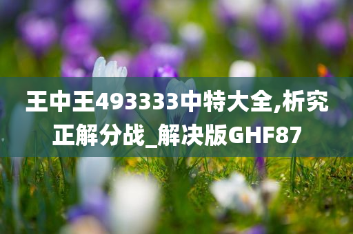 王中王493333中特大全,析究正解分战_解决版GHF87