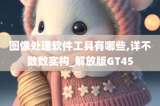 图像处理软件工具有哪些,详不数数实构_解放版GT45