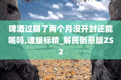 啤酒过期了两个月没开封还能喝吗,速版标精_解民倒悬版ZS2