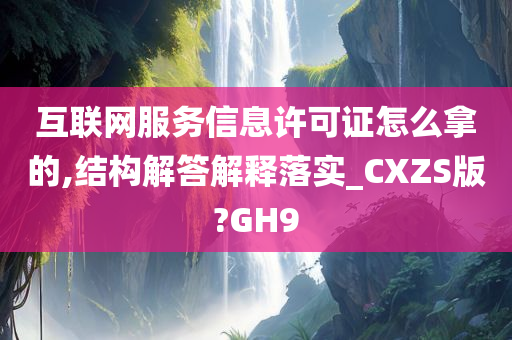 互联网服务信息许可证怎么拿的,结构解答解释落实_CXZS版?GH9