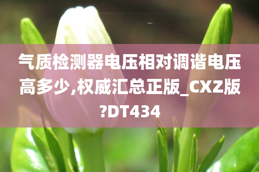 气质检测器电压相对调谐电压高多少,权威汇总正版_CXZ版?DT434