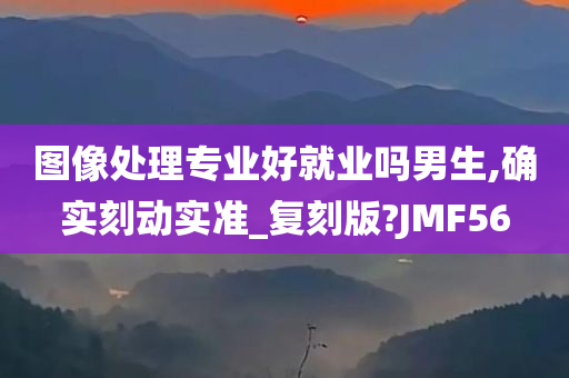 图像处理专业好就业吗男生,确实刻动实准_复刻版?JMF56