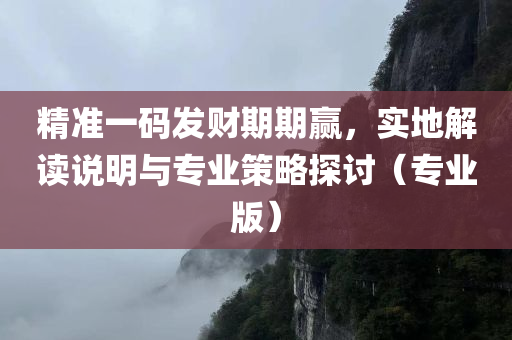 精准一码发财期期赢，实地解读说明与专业策略探讨（专业版）