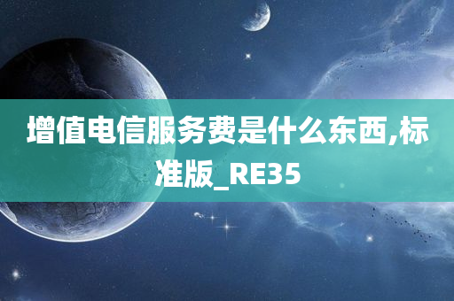 增值电信服务费是什么东西,标准版_RE35