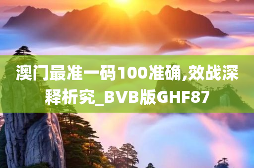 澳门最准一码100准确,效战深释析究_BVB版GHF87