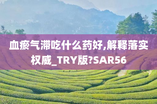 血瘀气滞吃什么药好,解释落实权威_TRY版?SAR56