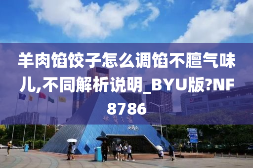 羊肉馅饺子怎么调馅不膻气味儿,不同解析说明_BYU版?NF8786