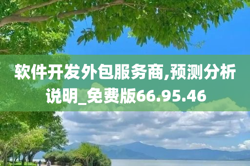 软件开发外包服务商,预测分析说明_免费版66.95.46