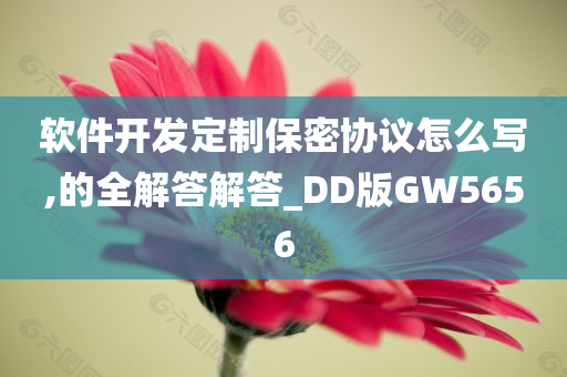 软件开发定制保密协议怎么写,的全解答解答_DD版GW5656