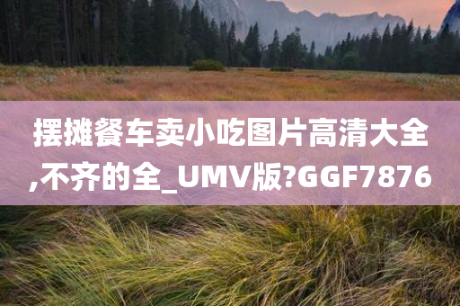 摆摊餐车卖小吃图片高清大全,不齐的全_UMV版?GGF7876