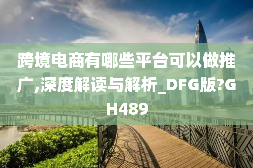 跨境电商有哪些平台可以做推广,深度解读与解析_DFG版?GH489