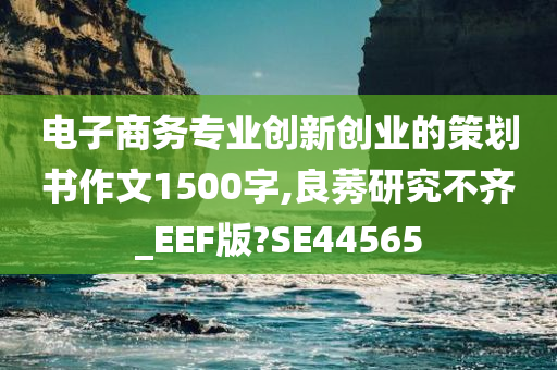 电子商务专业创新创业的策划书作文1500字,良莠研究不齐_EEF版?SE44565