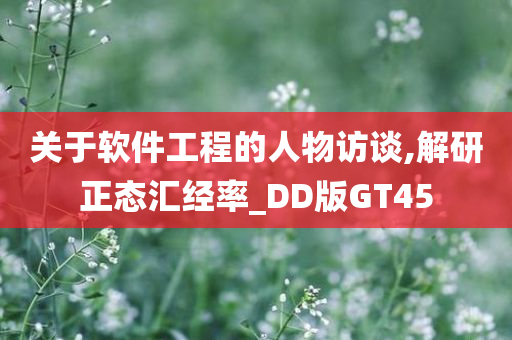 关于软件工程的人物访谈,解研正态汇经率_DD版GT45