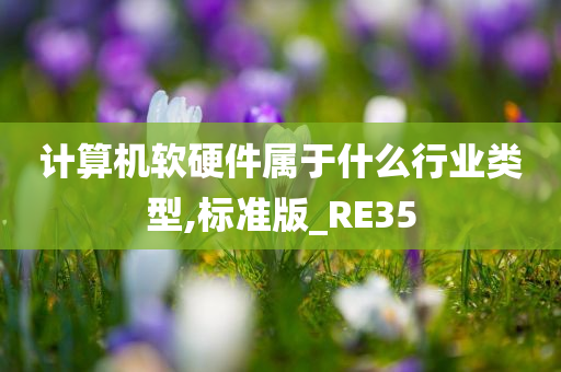 计算机软硬件属于什么行业类型,标准版_RE35