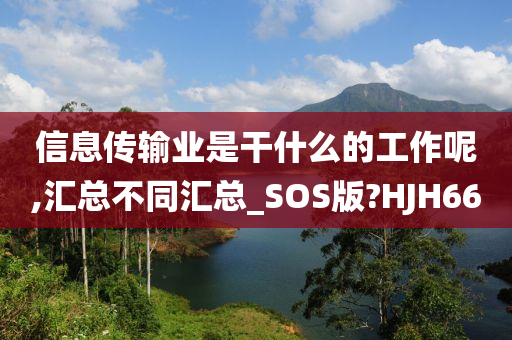 信息传输业是干什么的工作呢,汇总不同汇总_SOS版?HJH66