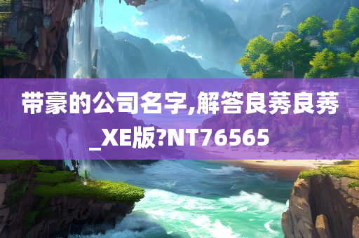 带豪的公司名字,解答良莠良莠_XE版?NT76565