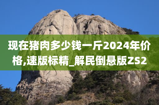 现在猪肉多少钱一斤2024年价格,速版标精_解民倒悬版ZS2