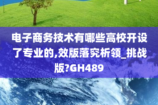 电子商务技术有哪些高校开设了专业的,效版落究析领_挑战版?GH489