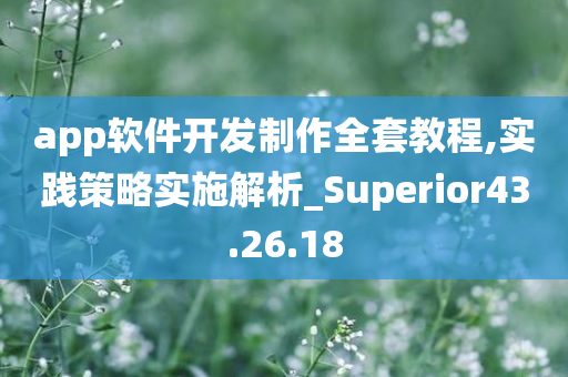 app软件开发制作全套教程,实践策略实施解析_Superior43.26.18